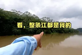 又混又急的江里怎么钓？不一定要用闷杆钓法，这样干就挺好玩视频封面
