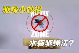 驱蝇小妙招，塑料袋装水可以驱赶苍蝇？流言终结者科学测试纪录片视频封面