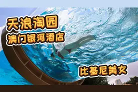 免费畅玩全球最长575米漂流水道，门票450块，澳门银河天浪淘园