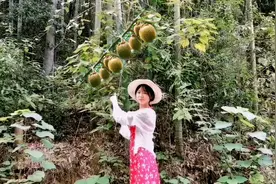 姑娘深山迷路，却意外发现野生猕猴桃，全身毛茸茸的长得真可爱！视频封面