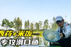 西药加米饭钓鱼真的有那么厉害？黑坑实践告诉你答案，结果很明显视频封面