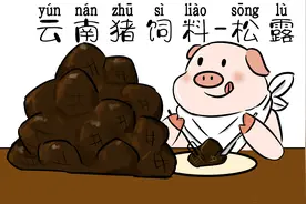 国外炒到40万一斤的黑松露，为啥在中国沦为猪饲料？视频封面