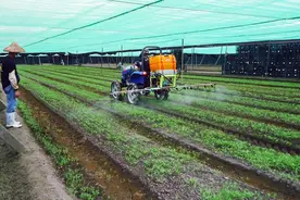 农民年人均收入达500多万的日本农业是如何发展起来的？视频封面