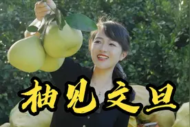 表嫂又给全公司发福利，把车直接开进果园，叫老板随便装视频封面