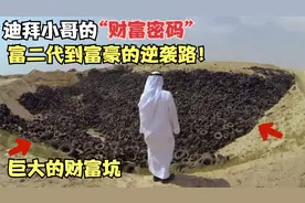 迪拜人为什么那么有钱，“财富密码？”富二代到富豪的逆袭路！视频封面