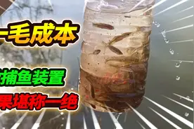 1毛成本自制捕鱼神器，村边臭河塘钓鱼被排挤，一次竟抓了38条鱼视频封面
