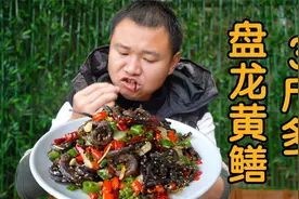 农村四哥改造抓鳝神器，收获3斤多，做盘龙黄鳝，整条吃好过瘾视频封面