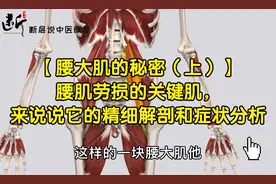 腰大肌的秘密（上）腰肌劳损关键肌，说说它的精细解剖和症状分析