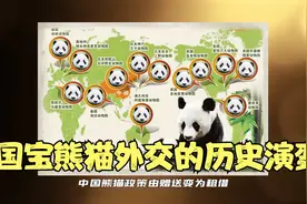 追溯中国国宝熊猫外交的历史演变，唐朝武则天赠送熊猫给日本天皇视频封面