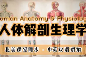 7.人体解剖生理学-解剖学术语简介 & 标准解剖学姿势【转载】视频封面