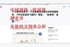 游资系列—中国顶级一线游资赵老哥的成名史及他交割单分析（一）视频封面