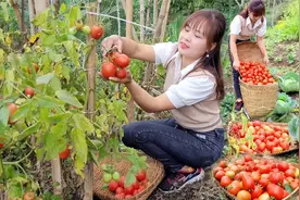 一个人住深山漂亮乡村妹子，为了讨生活采摘自种的菜，赶集换钱视频封面
