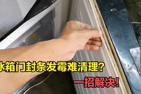 冰箱门封条发霉难清理？教你一个小窍门，彻底解决问题视频封面