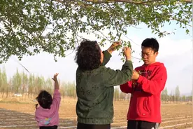 农村王姨摘了一大盆杨树叶子，焯水凉拌清凉下火，技巧教给你视频封面
