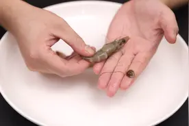 去虾线最简单的方法，水产店老板偷偷教我的，一秒钟一个，真实用