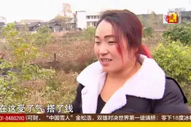 [高清]寻情记20161218期：白血病男童千里寻母 求妈妈再爱我一次视频封面