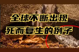 永生可能会实现？全球不断出现死而复生的案例