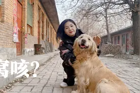 狗狗存在季节性窝咳的问题怎么办？找佳佳呀，教你怎么快速解决视频封面