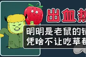 出血热明明是老鼠的错，凭啥不让吃草莓？视频封面