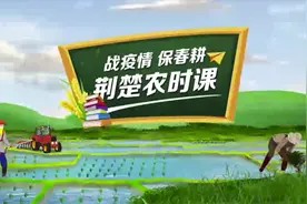 战疫情保春耕 | 荆楚农时课：柑橘花期的炭疽病如何防治？视频封面