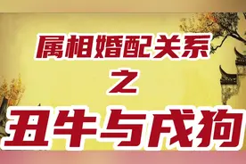 属牛人与属狗人的婚配关系解读