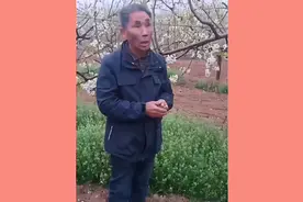梨木虱这样治，清除彻底又省心视频封面