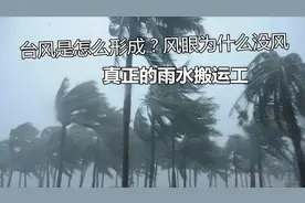 台风是怎么形成的？为什么风眼没风？真正的雨水搬运工视频封面
