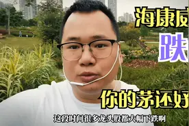 海康威视跌停，你的茅股跌了吗？视频封面