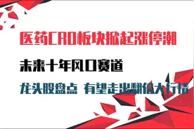 A股：医药CRO板块涨停潮，未来十年风口赛道，龙头股盘点有望翻倍