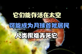 人类很难弄死的生物，能存活于太空，可能会是月球的首批居民视频封面