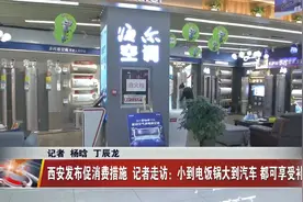 西安发布促消费若干措施 记者走访：电饭锅汽车都可享受补贴视频封面