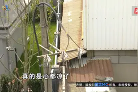【1818黄金眼】站在排屋阳台看风景，业主说“心都凉了”视频封面