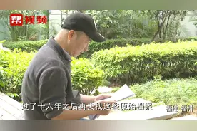 特殊工种遭遇退休难，社保部门：历史久远难认定，也在协调想办法视频封面