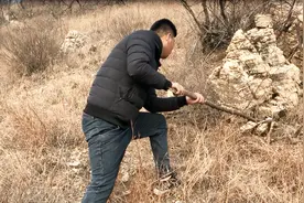 小烁在太行山寻找奇石，发现旁边石头不对劲，扒开一看吓得直后退视频封面