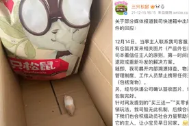 零食快递箱内有活仓鼠,买家收到不敢吃,三只松鼠回应:将内部溯源视频封面