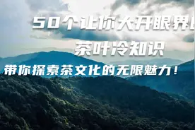 50个让你大开眼界的茶叶冷知识，带你探索茶文化的无限魅力！视频封面