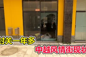 封关一年多，云南河口的中越风情街完全瘫痪，崭新的楼房空无一人视频封面