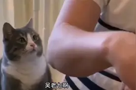 搞笑视频：胡老师。视频封面