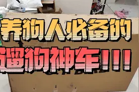 给媳妇置办了一个遛狗神器，养狗人必备的自行车。视频封面