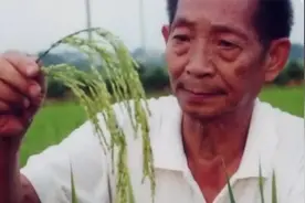 袁隆平逝世，他的“杂交水稻覆盖全球梦”还没实现...