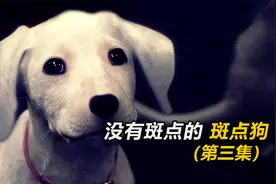 狗狗与男人进行拔河比赛，结局令人唏嘘！《102斑点狗》视频封面