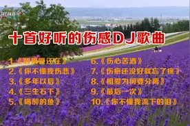 十首好听的伤感DJ歌曲
