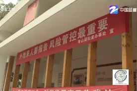 浙江：网格化管理 织好农村防疫网视频封面