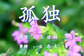 《孤独》一个人独自生活 孤独真的让人好难过