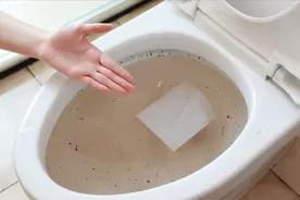 马桶万一堵住，3种方法都能快速疏通好，别白白花上百元请人掏视频封面