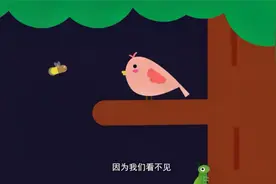 我的好朋友左左：小鸟晚上视力不好，不能去找吃的，只能咽口水了