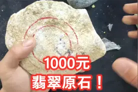 花1000块钱买了块石头，尝试一下电视上的赌石中奖率真的高吗？