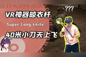 把VR手柄绑在晾衣杆上？守拙君的逆天玩法！让游戏里的手飞起来了