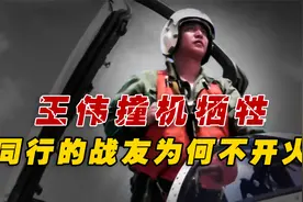 2001年中美南海撞机，战友赵宇目睹王伟牺牲过程，为何不开炮还击视频封面