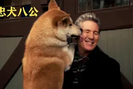 帕克教授捡到小八，冥冥中似乎注定有着某种缘分，这是真实的故事视频封面